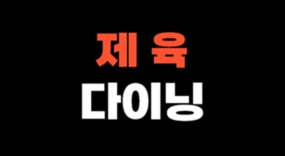 () 로고